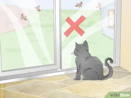 Защитите птичьи гнезда от хищников Шаг 1