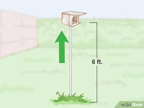 Защита птичьих гнезд от хищников Шаг 6