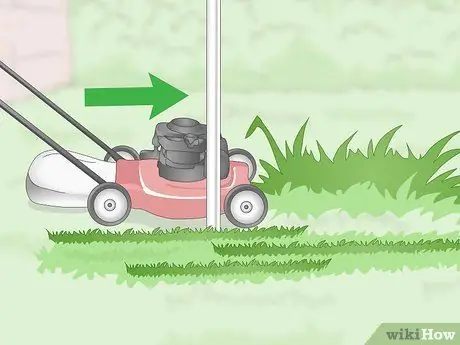 Защитите птичьи гнезда от хищников Шаг 9