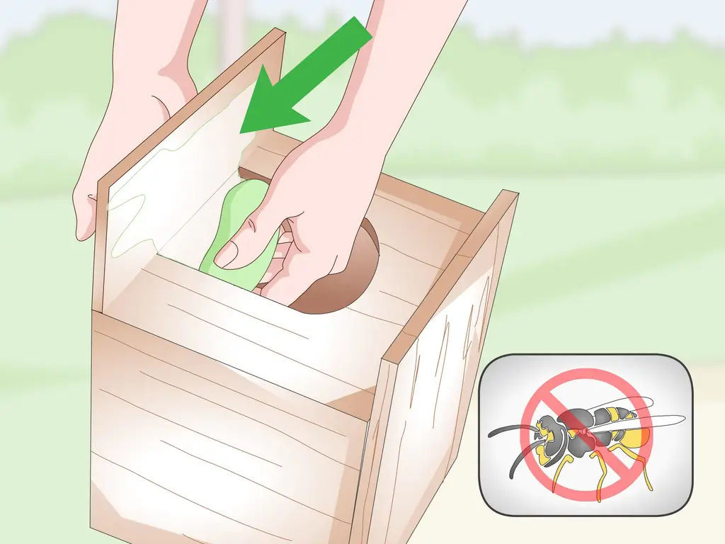 3 способа защитить птичьи гнезда от хищников