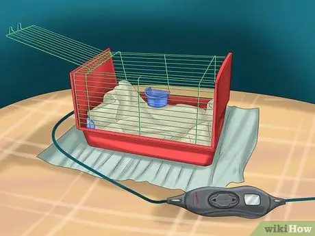 Приготовьте корм для птенцов для птенцов, шаг 13