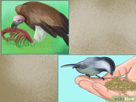 Приготовить корм для детенышей птиц, шаг 2