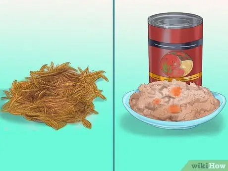 Приготовьте корм для птенцов для птенцов, шаг 5