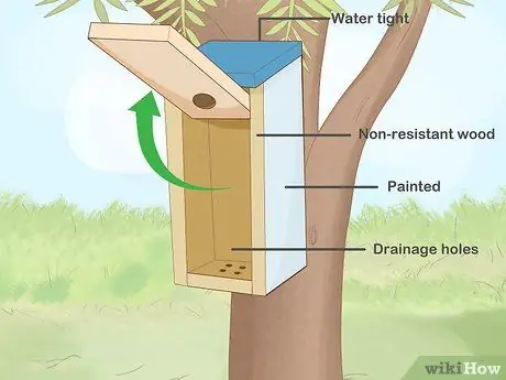 Привлечение восточных синих птиц Шаг 1
