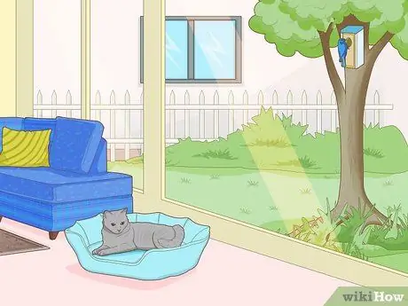 Привлечение восточных синих птиц Шаг 10