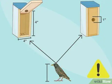 Привлечение восточных синих птиц, шаг 3