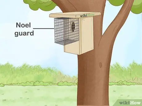 Привлечение восточных синих птиц Шаг 5