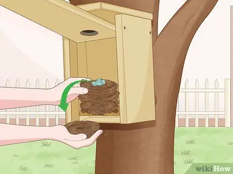 Привлечение восточных синих птиц Шаг 6