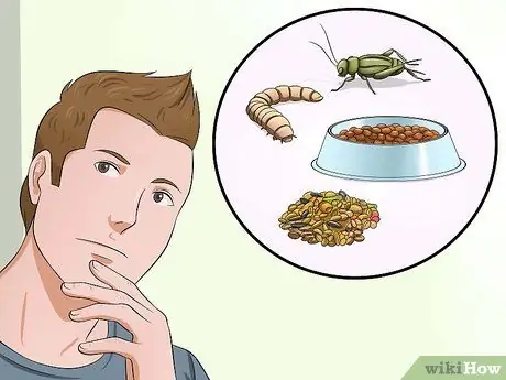 Приготовьте корм для птенцов для птенцов, шаг 1