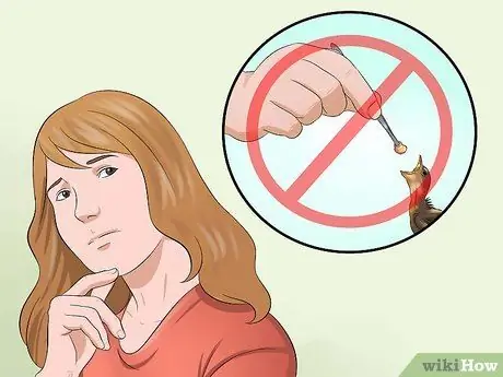 Приготовьте корм для птенцов для птенцов, шаг 11