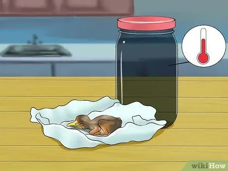 Приготовьте корм для птенцов для птенцов, шаг 5