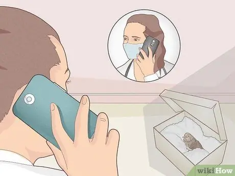 Помогите птице со сломанным крылом Шаг 10