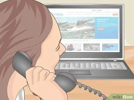 Помогите птице со сломанным крылом Шаг 11