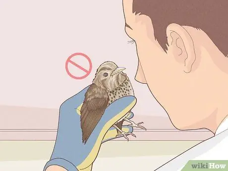 Помогите птице со сломанным крылом Шаг 2