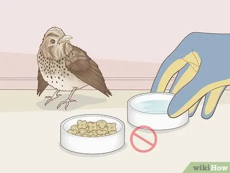 Помогите птице со сломанным крылом Шаг 3