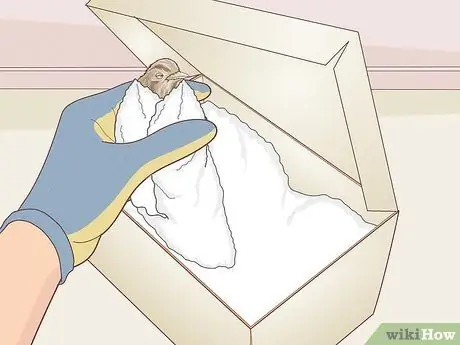 Помогите птице со сломанным крылом Шаг 6