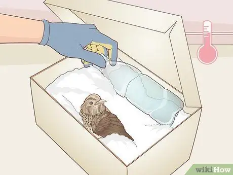 Помогите птице со сломанным крылом Шаг 7