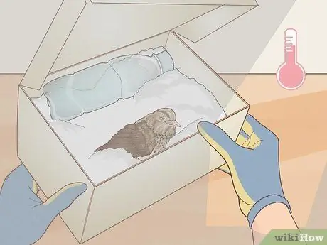 Помогите птице со сломанным крылом Шаг 8