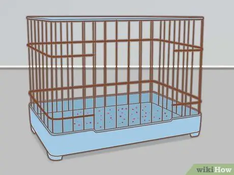 Как узнать, есть ли у вашей птицы клещи Шаг 7