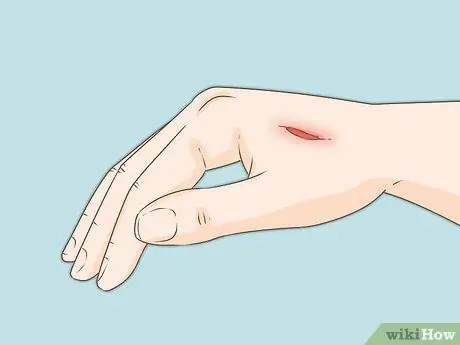 Как узнать, есть ли у вашей птицы клещи Шаг 8