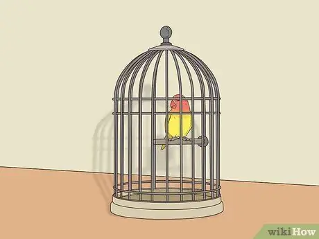 Выявление признаков болезни у влюбленных. Шаг 11