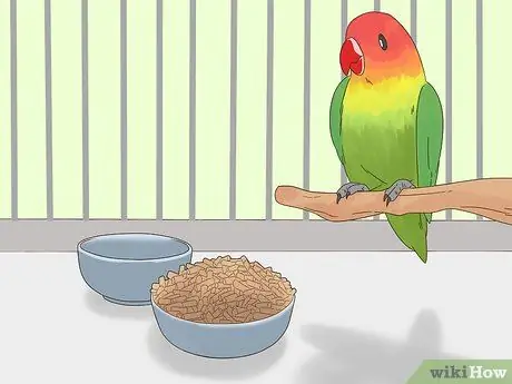 Выявление признаков болезни у влюбленных. Шаг 13