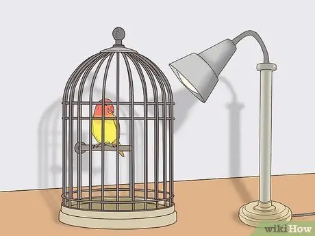 Выявление признаков болезни у влюбленных. Шаг 14