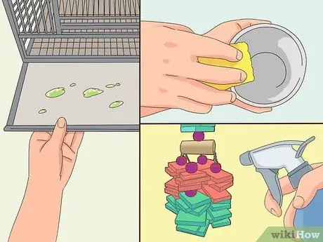 Выявление признаков болезни у неразлучников Шаг 15