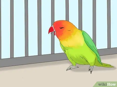 Выявление признаков болезни у влюбленных. Шаг 9