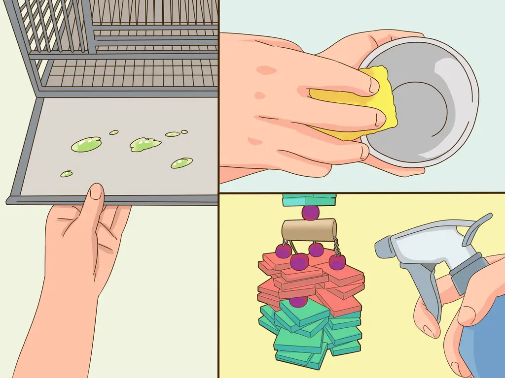 3 способа обнаружить признаки болезни у неразлучников