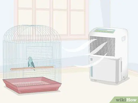 Уход за больной домашней птицей в домашних условиях Шаг 3