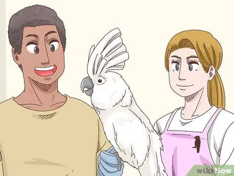 Лечить болезнь клюва и пера пситтацина у какаду Шаг 10