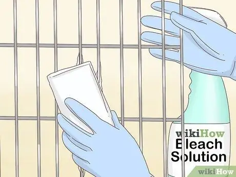 Лечить болезнь клюва и пера пситтацина у какаду Шаг 9