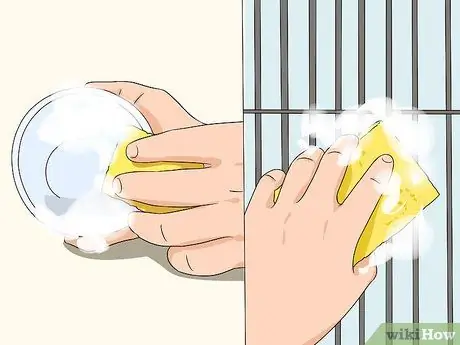 Лечить диарею у неразлучников Шаг 10