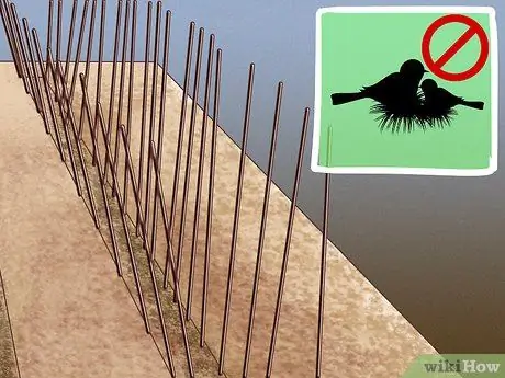 Не давайте птицам гнездиться, шаг 1