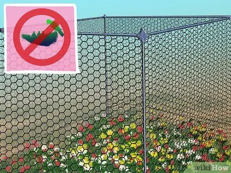 Не позволяйте птицам гнездиться, шаг 2