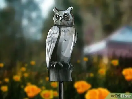 Не давайте птицам гнездиться, шаг 5