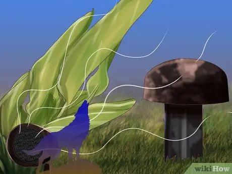 Не позволяйте птицам гнездиться, шаг 7