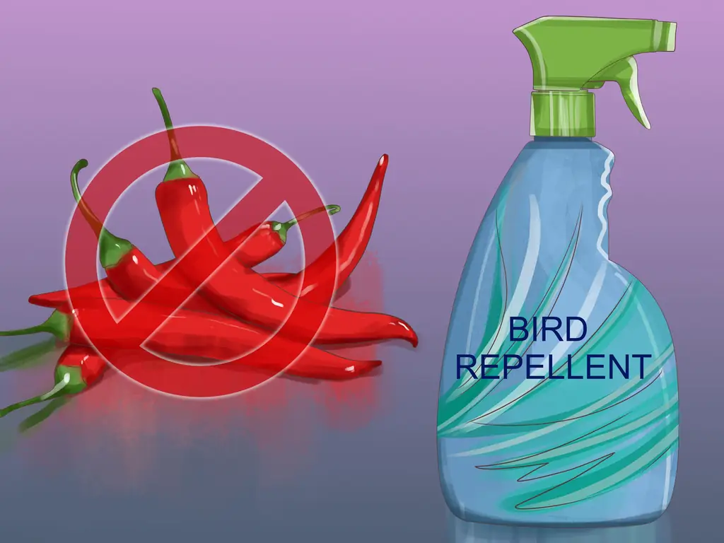 3 способа уберечь птиц от гнездования