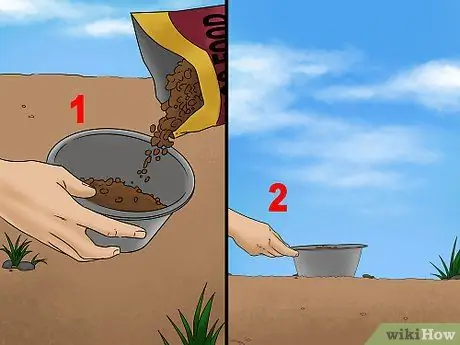 Поймать утку Шаг 1