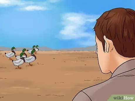 Поймать утку Шаг 12