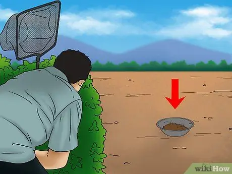 Поймать утку Шаг 2