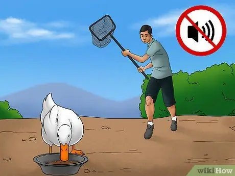 Поймать утку Шаг 3