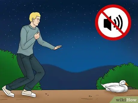 Поймать утку Шаг 7