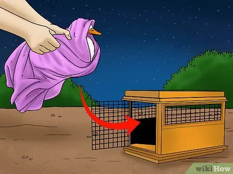 Поймать утку Шаг 9