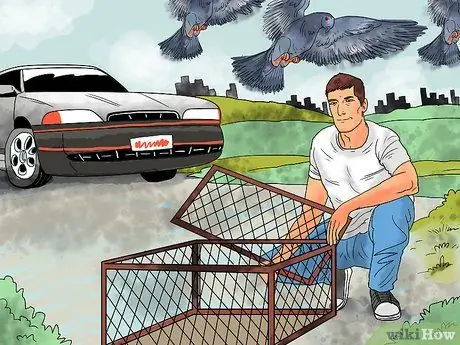 Ловушка для голубей Шаг 10