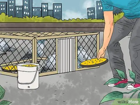 Ловушка для голубей Шаг 9