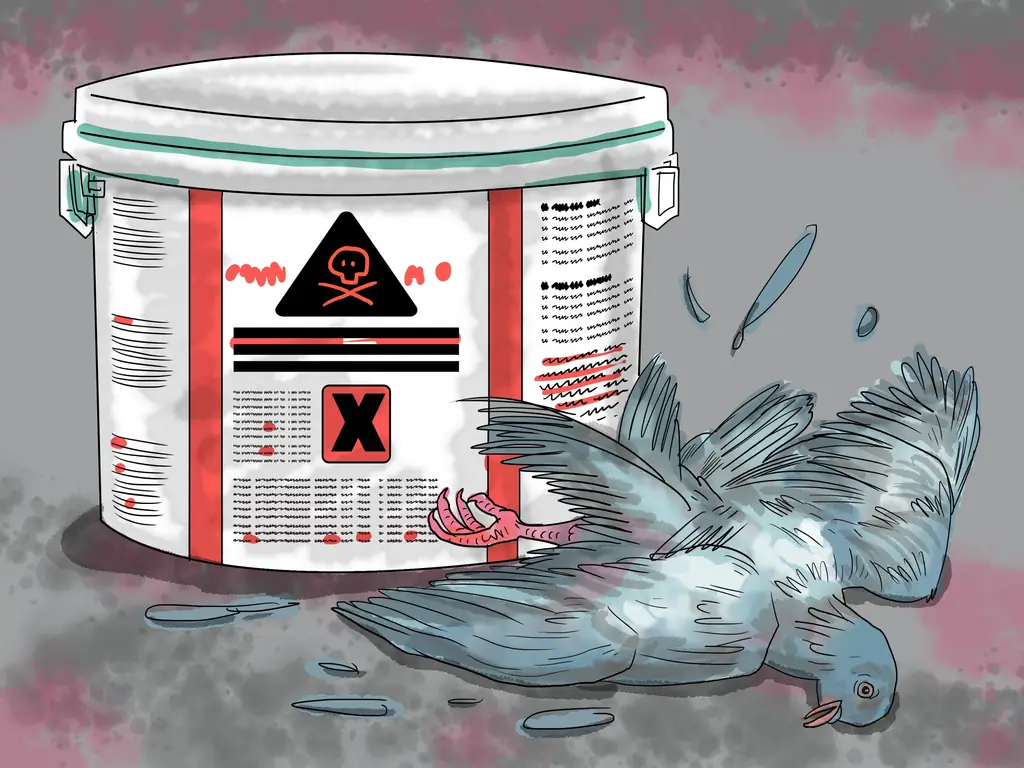 Как поймать голубя: 12 шагов (с иллюстрациями)