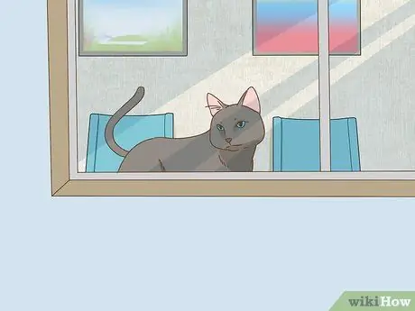 Помогите упавшему птенцу Шаг 10