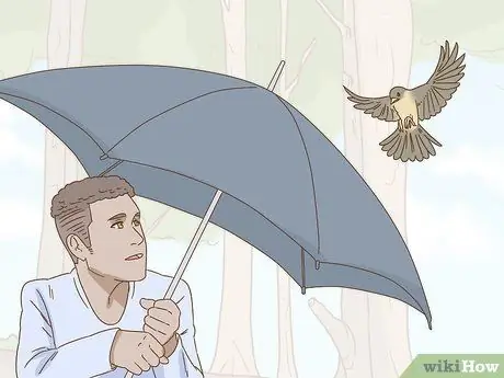 Помогите упавшему птенцу Шаг 6